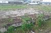 Developable Lot for Lease in Calamba, Laguna